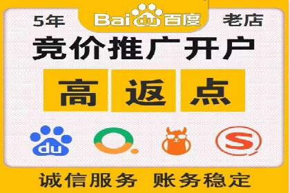 某电商平台的SEM广告投放策略及效果评估